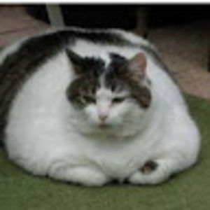 Meet your Posher, Tay tay